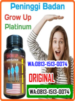 obat-peninggi-badan-grow-up-platinum.png